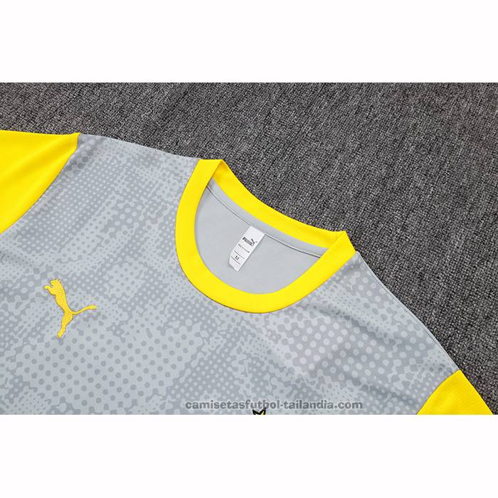 Camiseta de Entrenamiento Borussia Dortmund 25/26 Gris